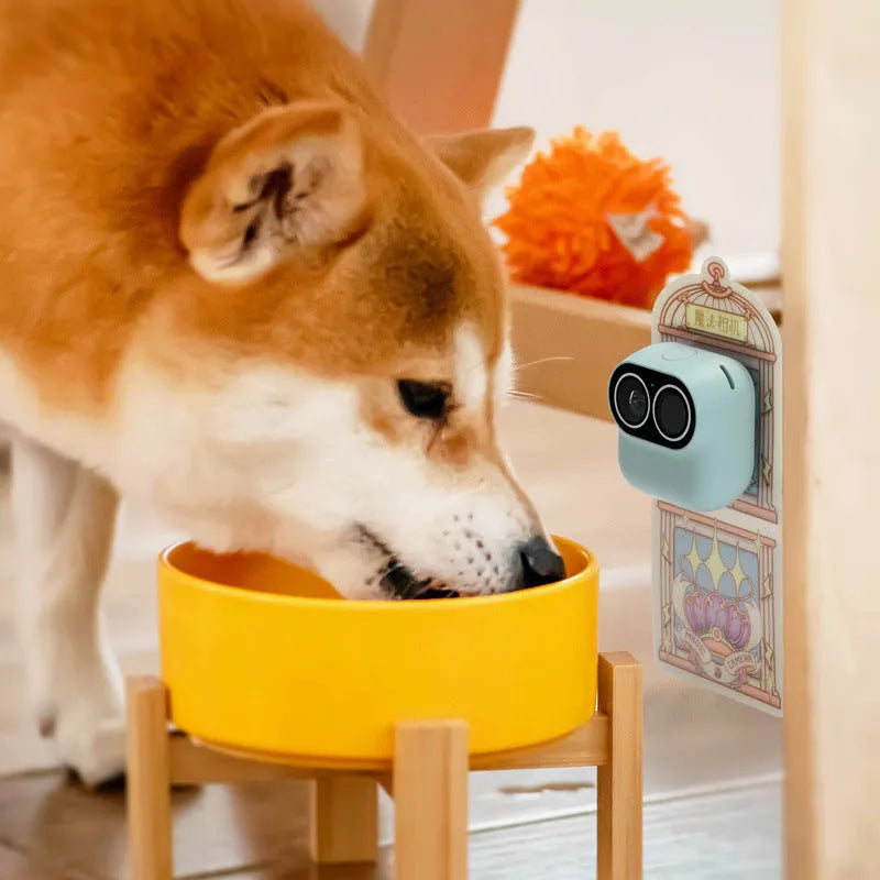 Fashionable And Personalized Intelligent Camera - Bellarte Enchanté Fashionable And Personalized Intelligent Camera